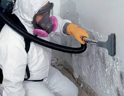 Best Forensic Mold Investigation  in USA